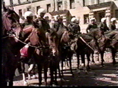 NewCossacks.JPG (41030 bytes)