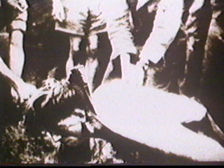 Z12.jpg (49534 bytes)