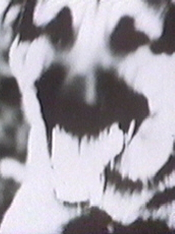 Z27ab.jpg (68281 bytes)